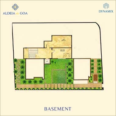 RUSSELIA BASEMENT